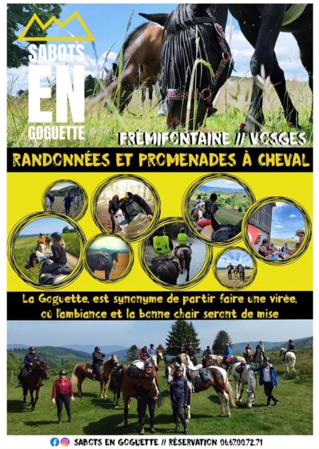 Les Vergers d'Epona Fremifontaine VOSGES Extérieur photo