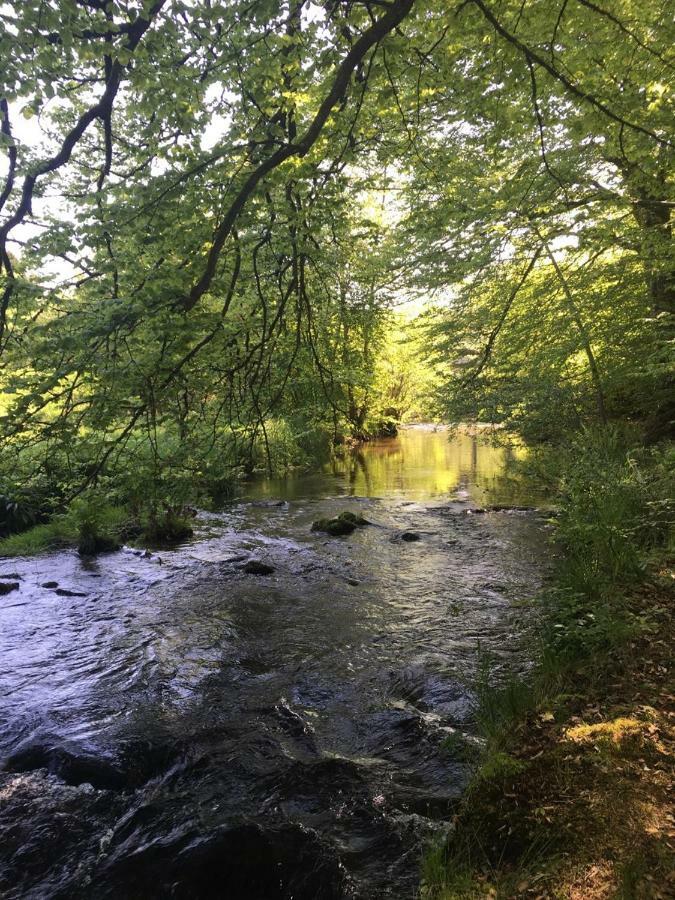 Les Vergers d'Epona Fremifontaine VOSGES Extérieur photo